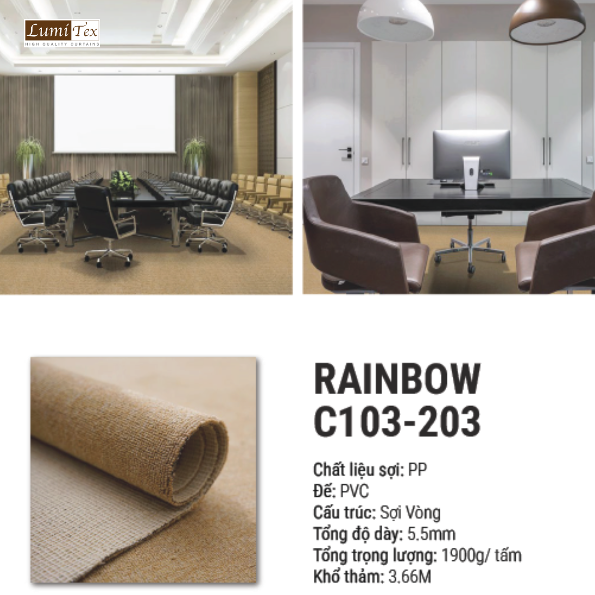 Thảm trải sàn Rainbow – Giải pháp lót sàn tinh tế, hiện đại